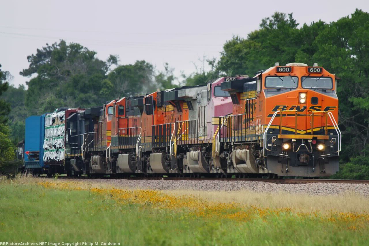 BNSF 600, 660, 7160, 1086, 4639, PRLX 4053